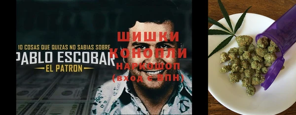 spice Алзамай