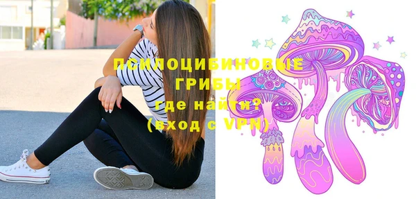 spice Алзамай