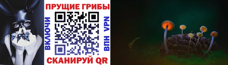 Псилоцибиновые грибы Magic Shrooms  Чайковский 