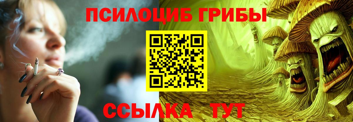 Чайковский  Псилоцибиновые грибы MAGIC MUSHROOMS  Вход с VPN 